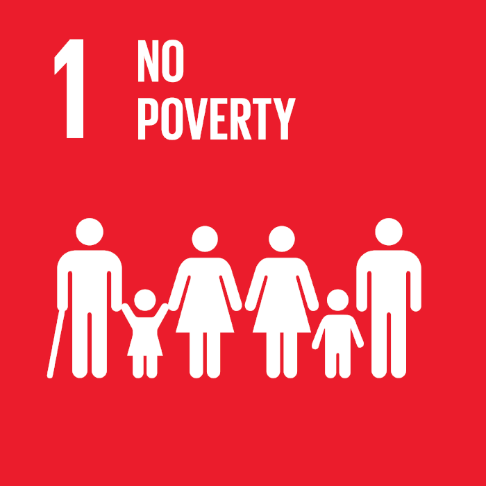 UN Sustainable Development
				goals